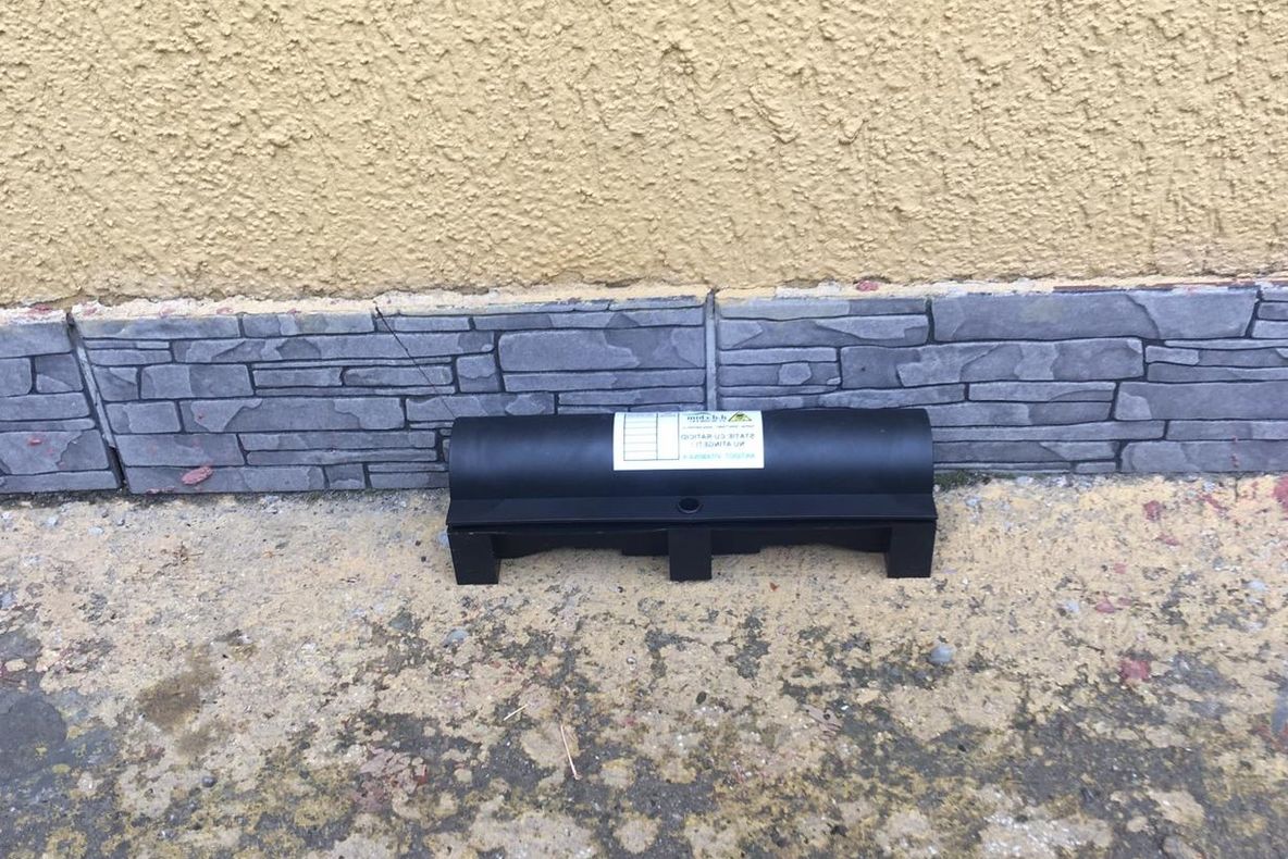 Nouă acțiune de deratizare în Sibiu pentru combaterea rozătoarelor