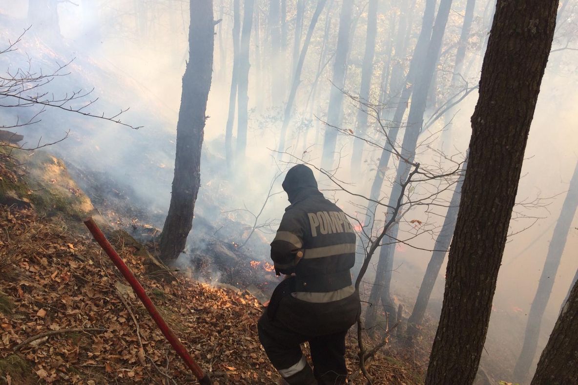 UPDATE/Video/Mai bine de 24 de ore de foc în litiera pădurii de pe Vârful Măgura