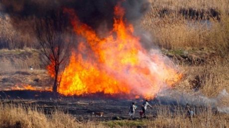 Incendiu de vegetație uscată, în Jina