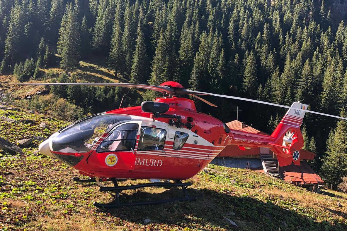 Muncitor forestier, găsit mort în apropiere de Păltiniș