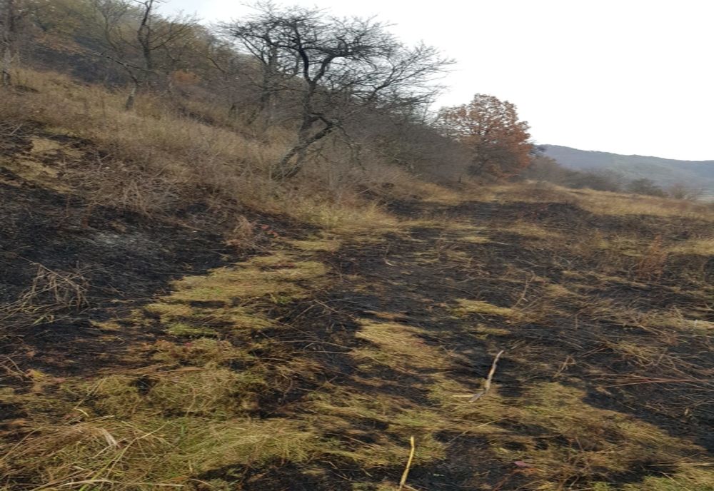 Pompierii sibieni au stins incendiul din apropierea localității Mălâncrav după mai bine de 24 de ore