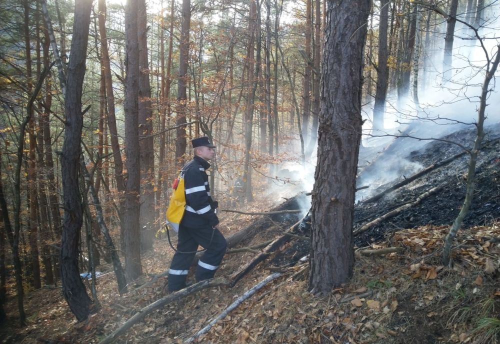 Al treilea incendiu la litiera pădurii Măgura. Pompierii recomandă o serie de măsuri preventive