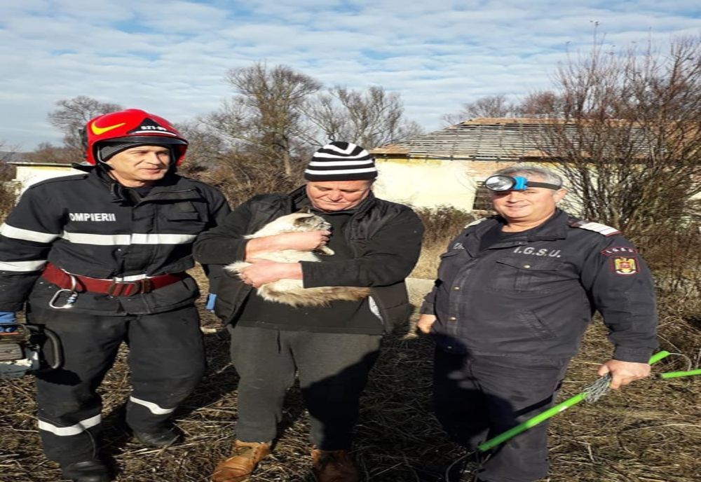 O pisică ce căzuse într-un tub metalic a fost salvată de pompierii sibieni