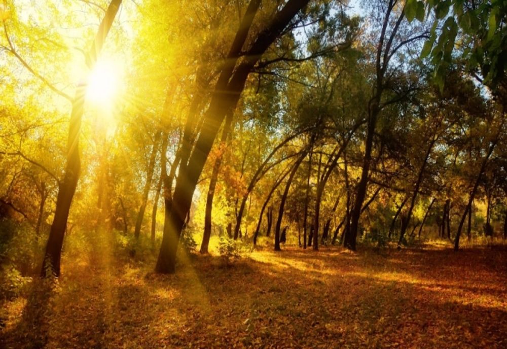 Vreme caldă, săptămâna viitoare, în județul Sibiu. Temperaturi maxime de până la 14 grade Celsius