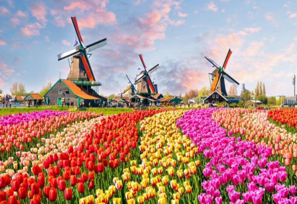 Numele Olanda a fost retras din toate documentele 