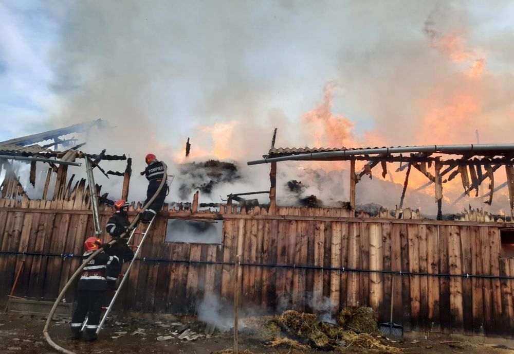 VIDEO | Incendiu la o șură din Bungard. Animalele, evacuate de proprietar