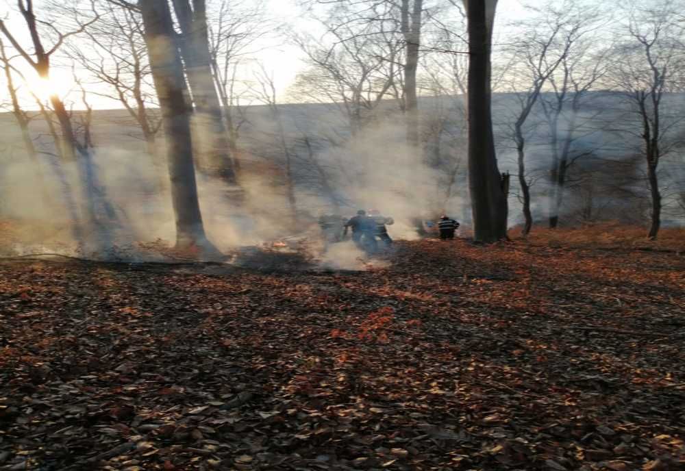Zece incendii de vegetație uscată, în 24 de ore, în județul Sibiu