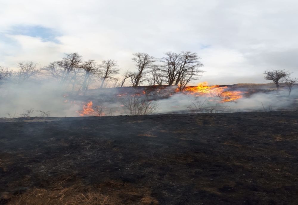 Incendii de vegetație uscată, pe DN1 și la Glâmboaca