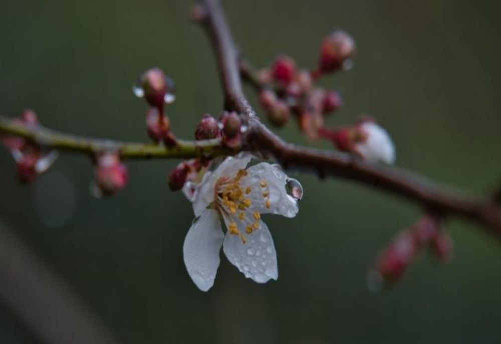 Cum va fi vremea, în județul Sibiu, săptămâna viitoare