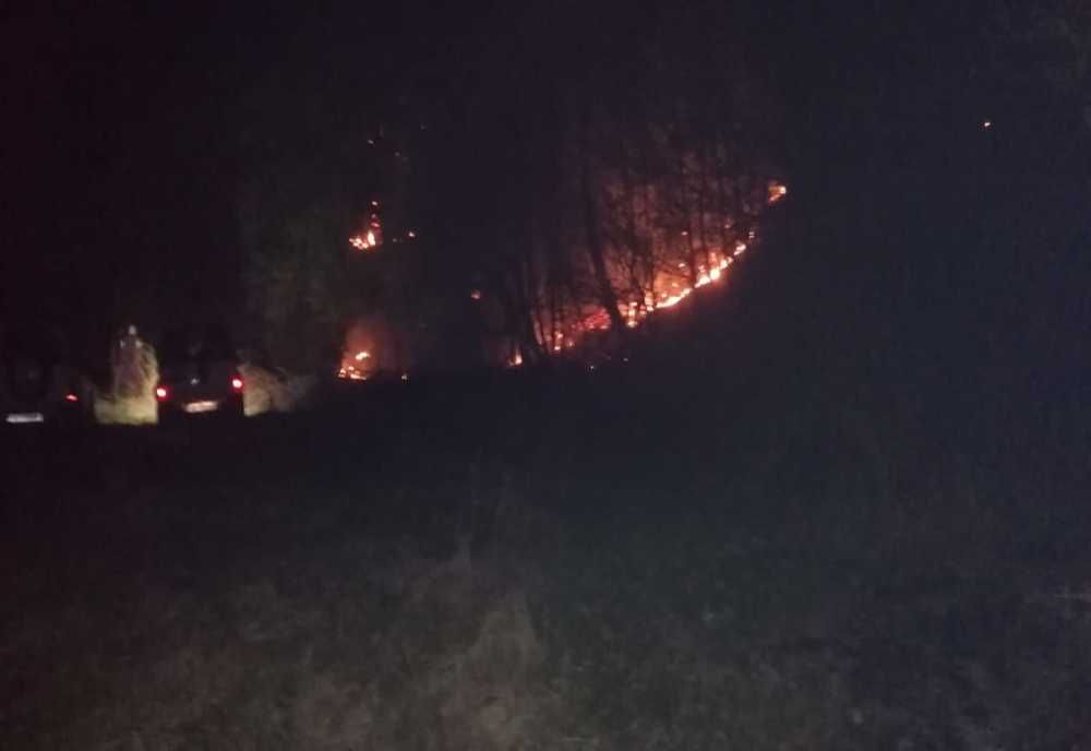 Incendiu de vegetație uscată, în Mălâncrav. A fost lichidat după patru ore