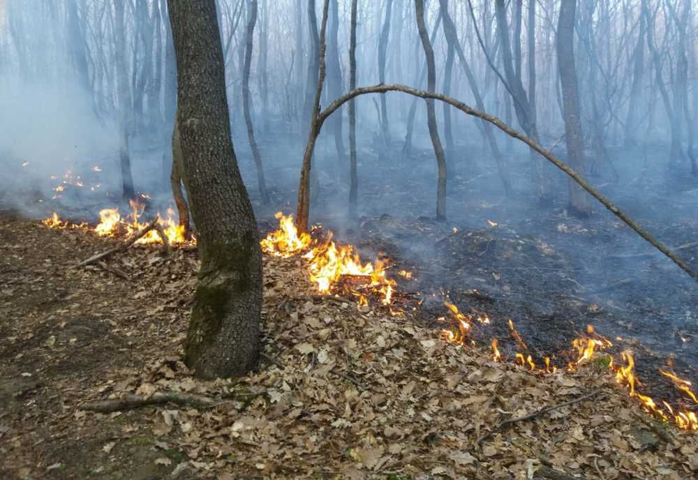 Incendiu de vegetație uscată în Alțâna și Agnita