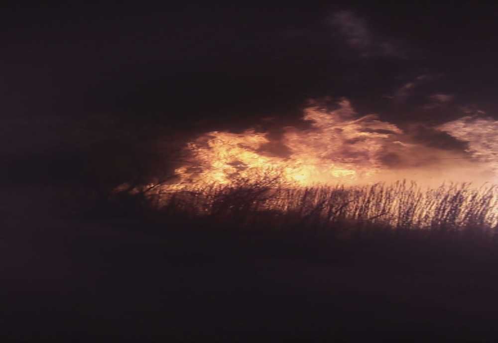 VIDEO | Șase hectare de vegetație uscată din Axente Sever au ars într-un incendiu, seara trecută