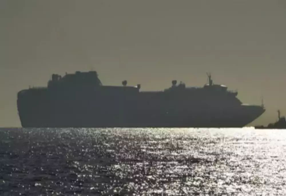 VIDEO | Zeci de români blocați pe un vas de croazieră, în situație critică