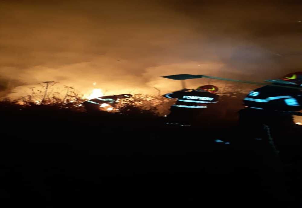 Șase incendii de vegetație uscată, izbucnite în weekend în județul Sibiu