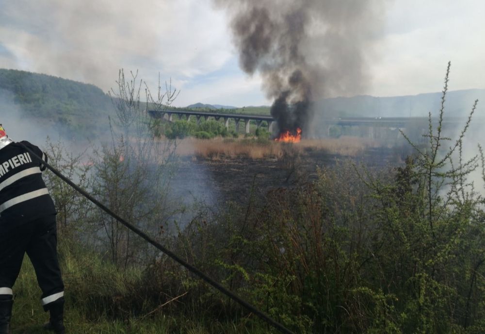 Incendiu de vegetație uscată, în zona DN1, între Săliște și Săcel
