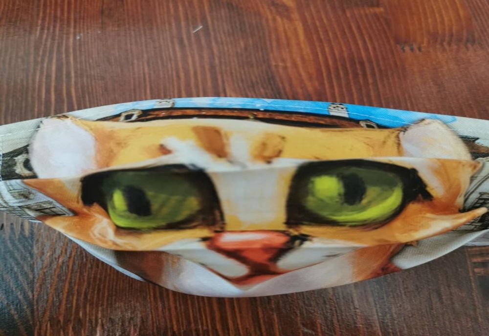 Măști personalizate, la Muzeul Național "Brukenthal". Imagini cu baronul și cei doi motani ai instituției