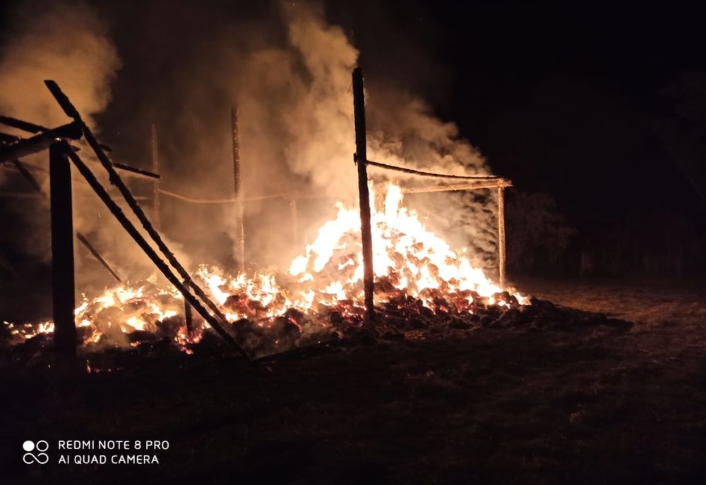 Incendiu puternic la un depozit de furaje din Dupuș