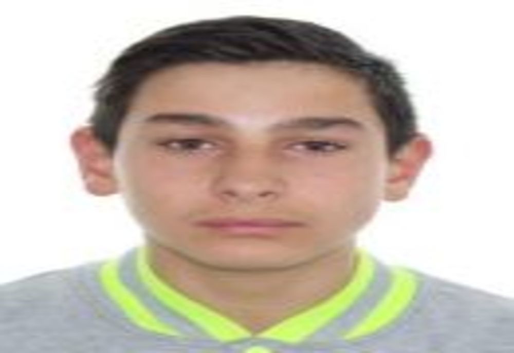 Tânăr de 16 ani din Șura Mare, dispărut. L-ați văzut?