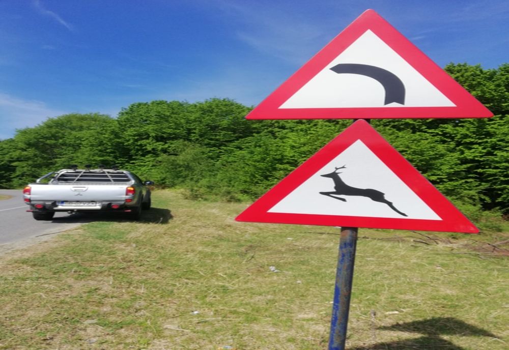 Măsuri luate în județ, pentru prevenirea accidentelor. Au fost amplasate panouri de informare și indicatoare de restricție a vitezei