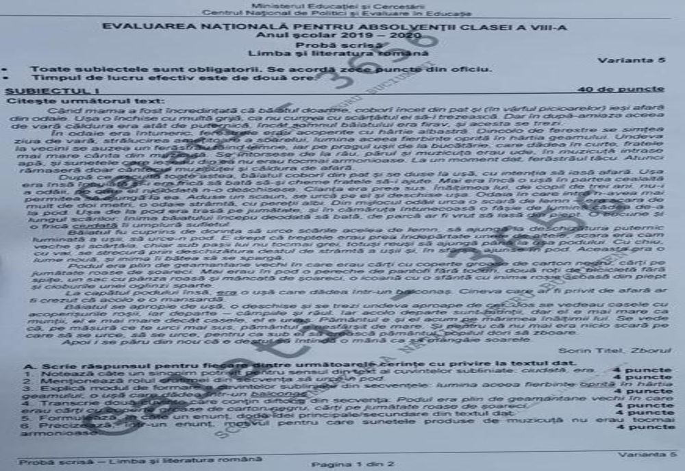 SUBIECTE EVALUARE NAȚIONALĂ 2020. Ce au avut de rezolvat elevii la Limba și literatura română