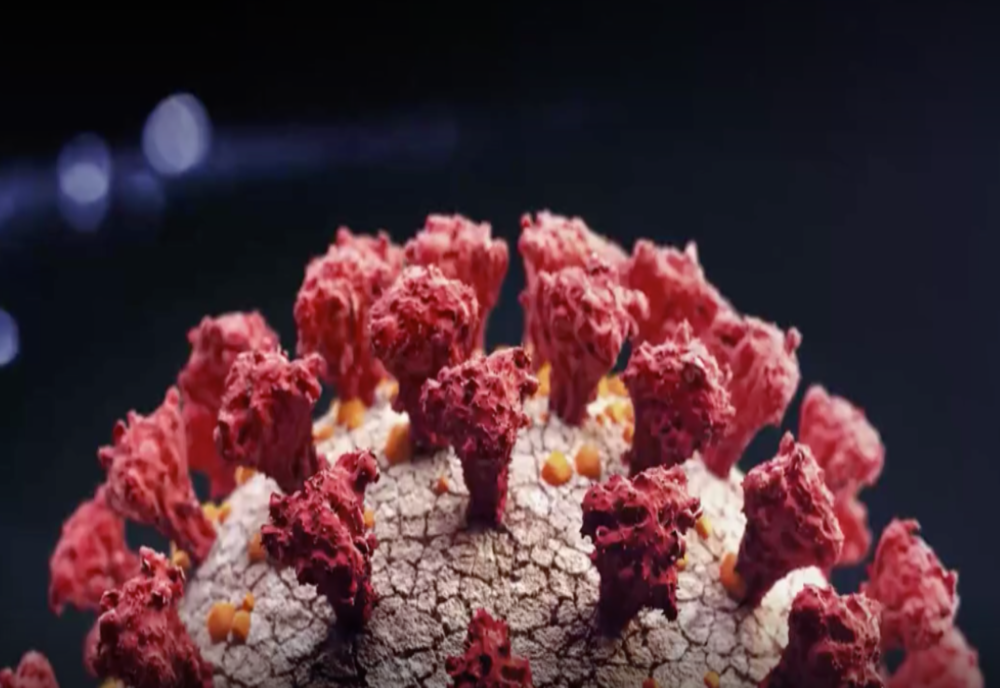 638 de sibieni, confirmați cu COVID-19. Două persoane, amendate pentru că nu au purtat mască în autobuz