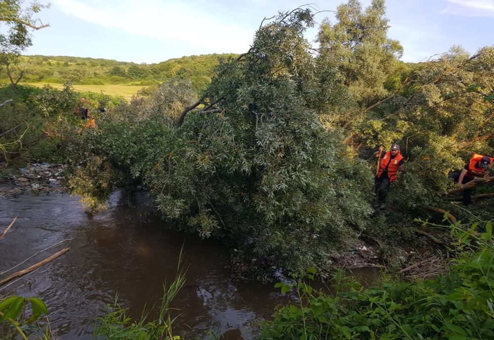 Adelina, încă de negăsit în Cibin. DGASPC Sibiu s-a autosesizat