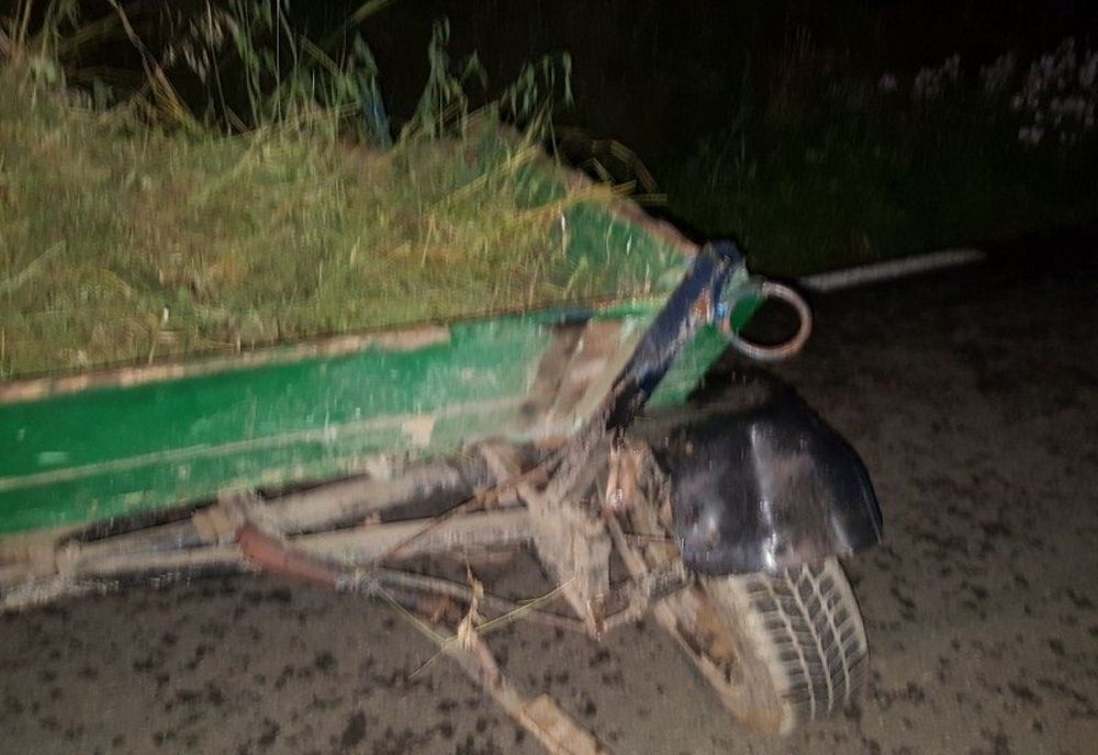 Accident rutier provocat de un căruțaș băut, în care a fost rănită o gravidă!