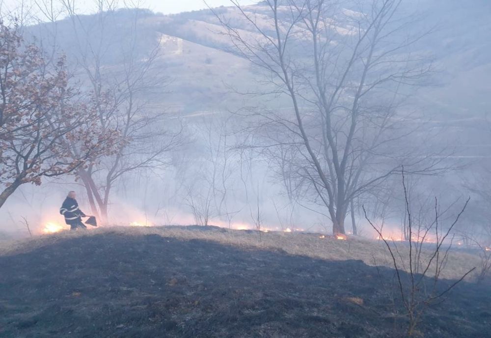 Incendiu la 20 de hectare de vegetație