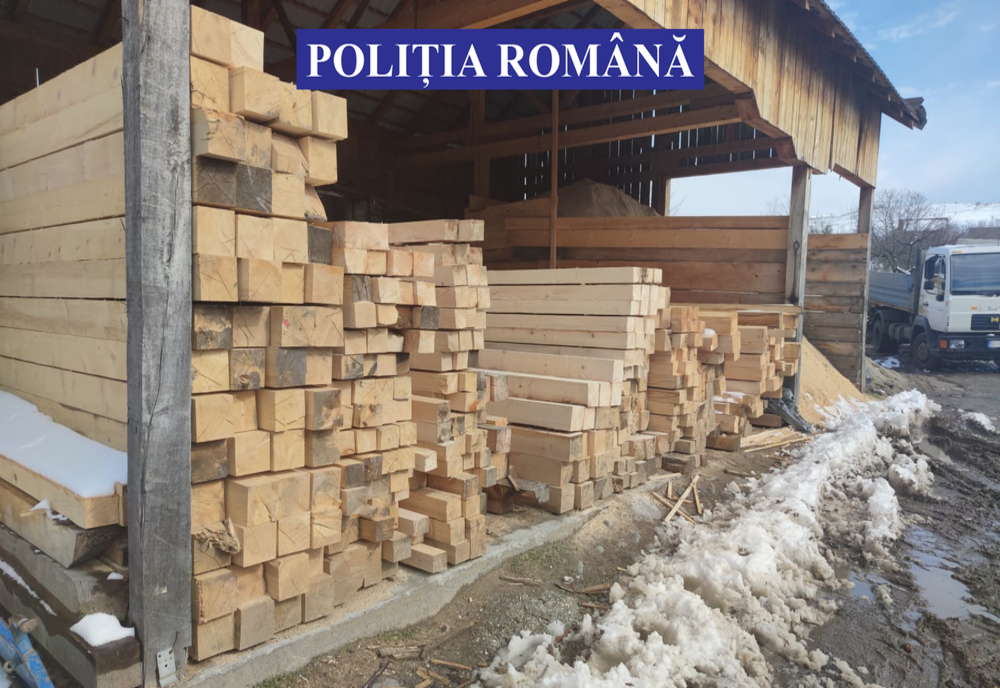 Transport ilegal de material lemnos