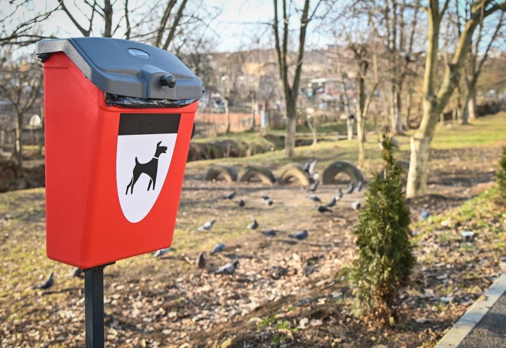 85 de coșuri stradale speciale pentru colectarea dejecțiilor animalelor de companie