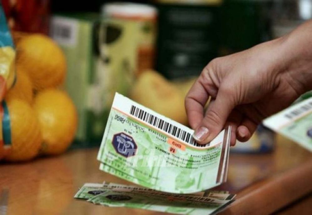 A fost adoptat proiectul de lege potrivit căruia prestatorii de activităţi casnice pot primi tichete 