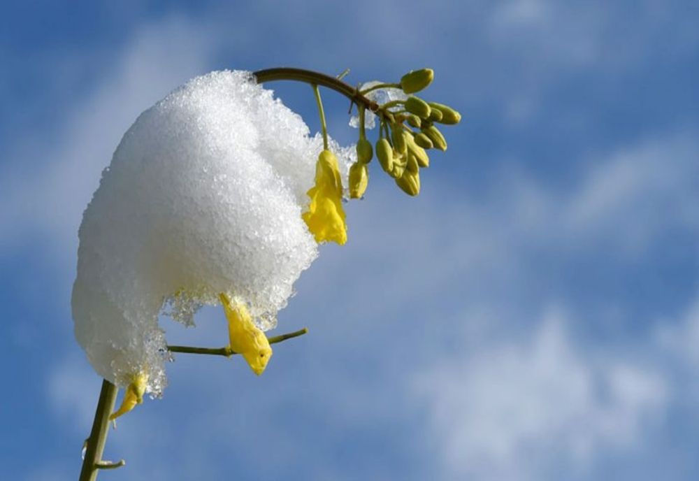 România, lovită de un val de aer polar: lapoviță, ninsoare și ger