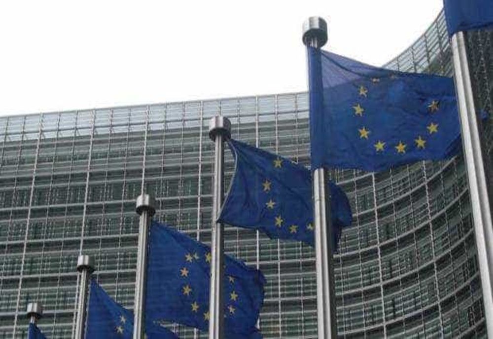 ONG-URILE DIN ROMÂNIA, ÎN VIZORUL PATRIOȚILOR EUROPENI. MILIOANE DE EURO DE LA BRUXELLES PENTRU ORGANIZAȚII 