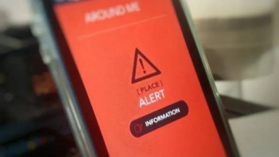 Panică în Sibiu după apariția unui urs lângă case. Autoritățile au emis RO-ALERT