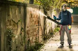 Ultima deratizare a anului în Sibiu, programată pe 28 și 29 octombrie
