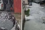 Vreme extremă în România: grindină la Bihor, furtună de nisip pe litoral - VIDEO