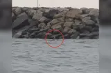 Alertă pe litoral! Dronă maritimă observată la Costinești, lângă un dig VIDEO