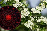Horoscopul zilei de sâmbătă, 14 martie: primăvara bate la ușă