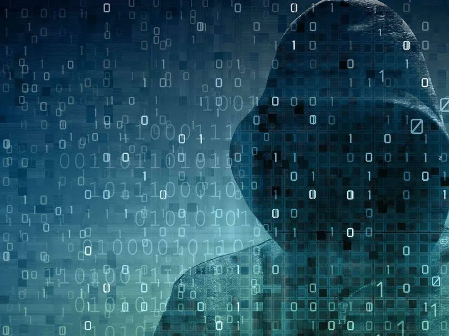 fraude informatice