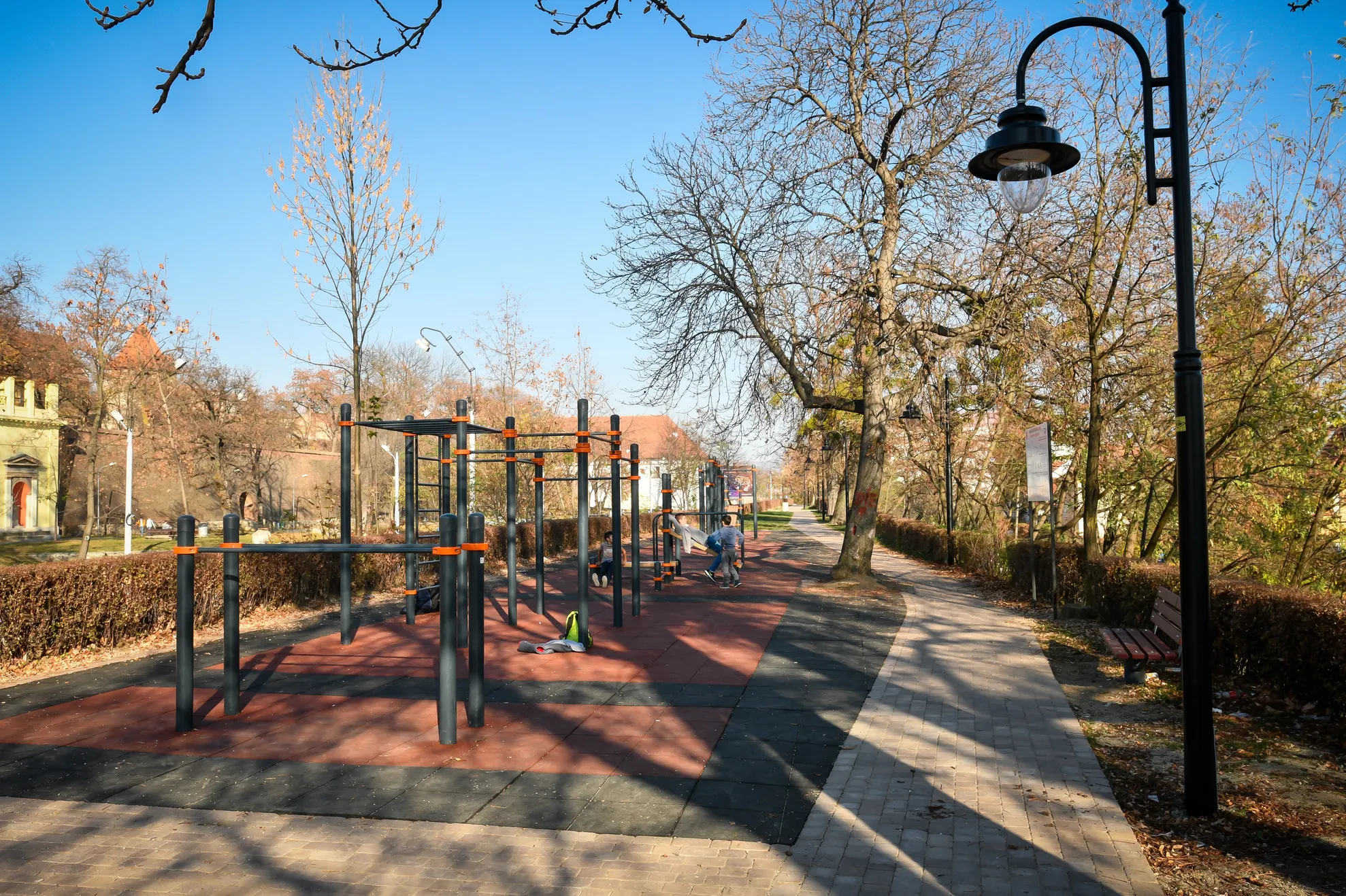 Biuta (1)_mică
