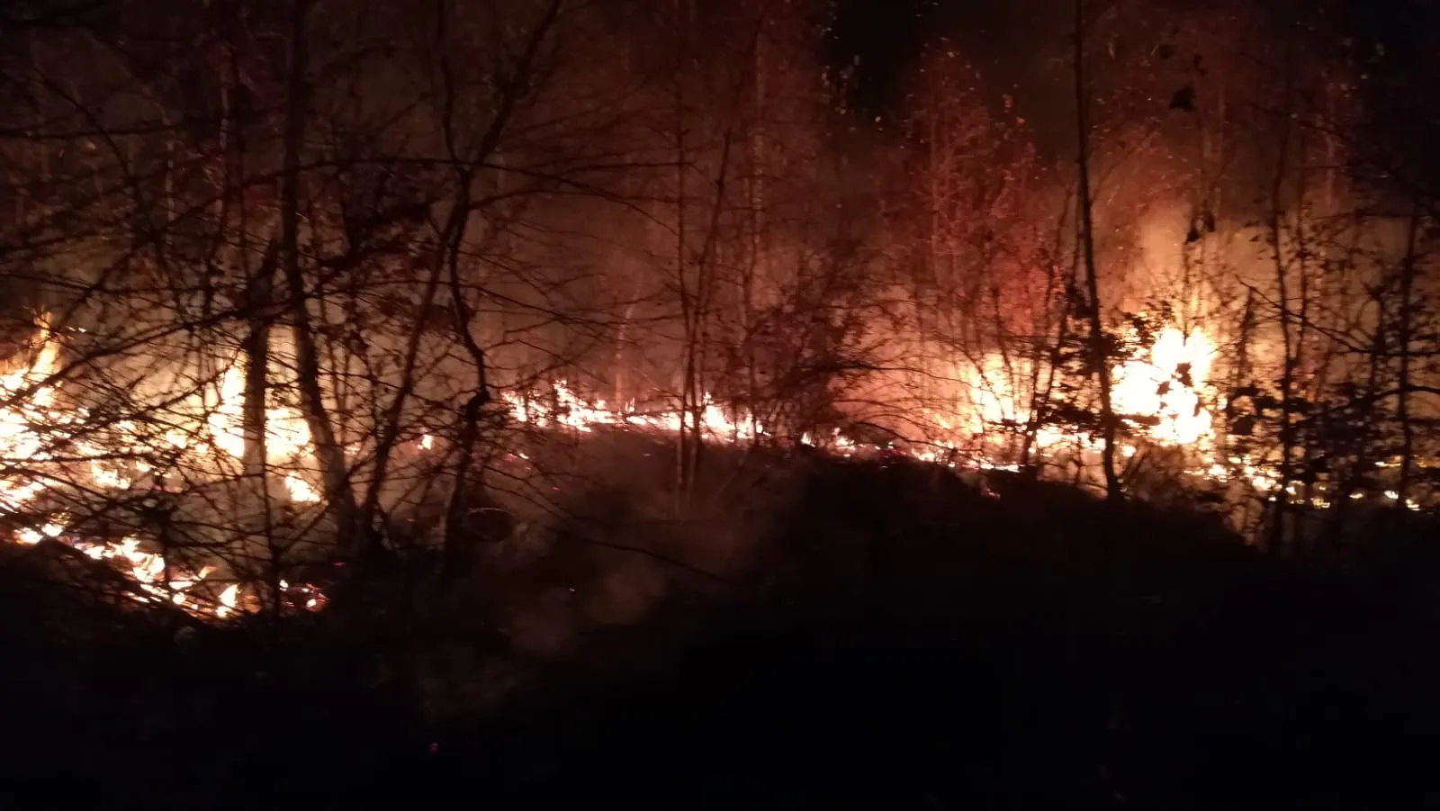 Incendiu Rod