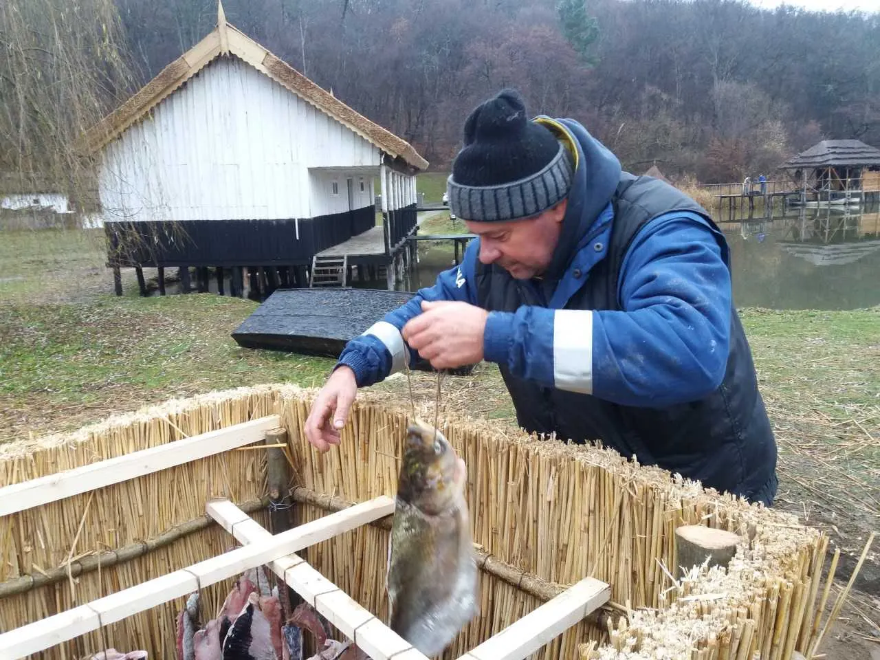 pescari