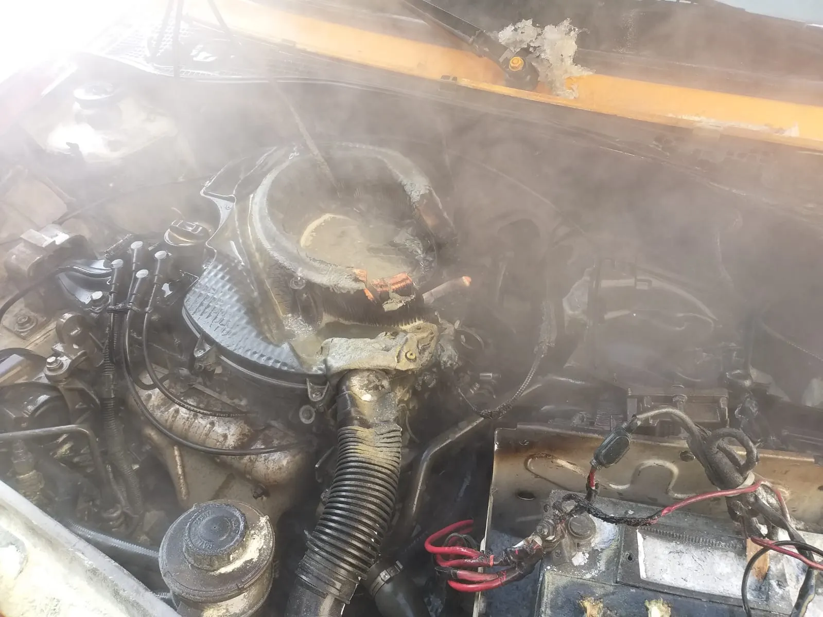 Motor ars