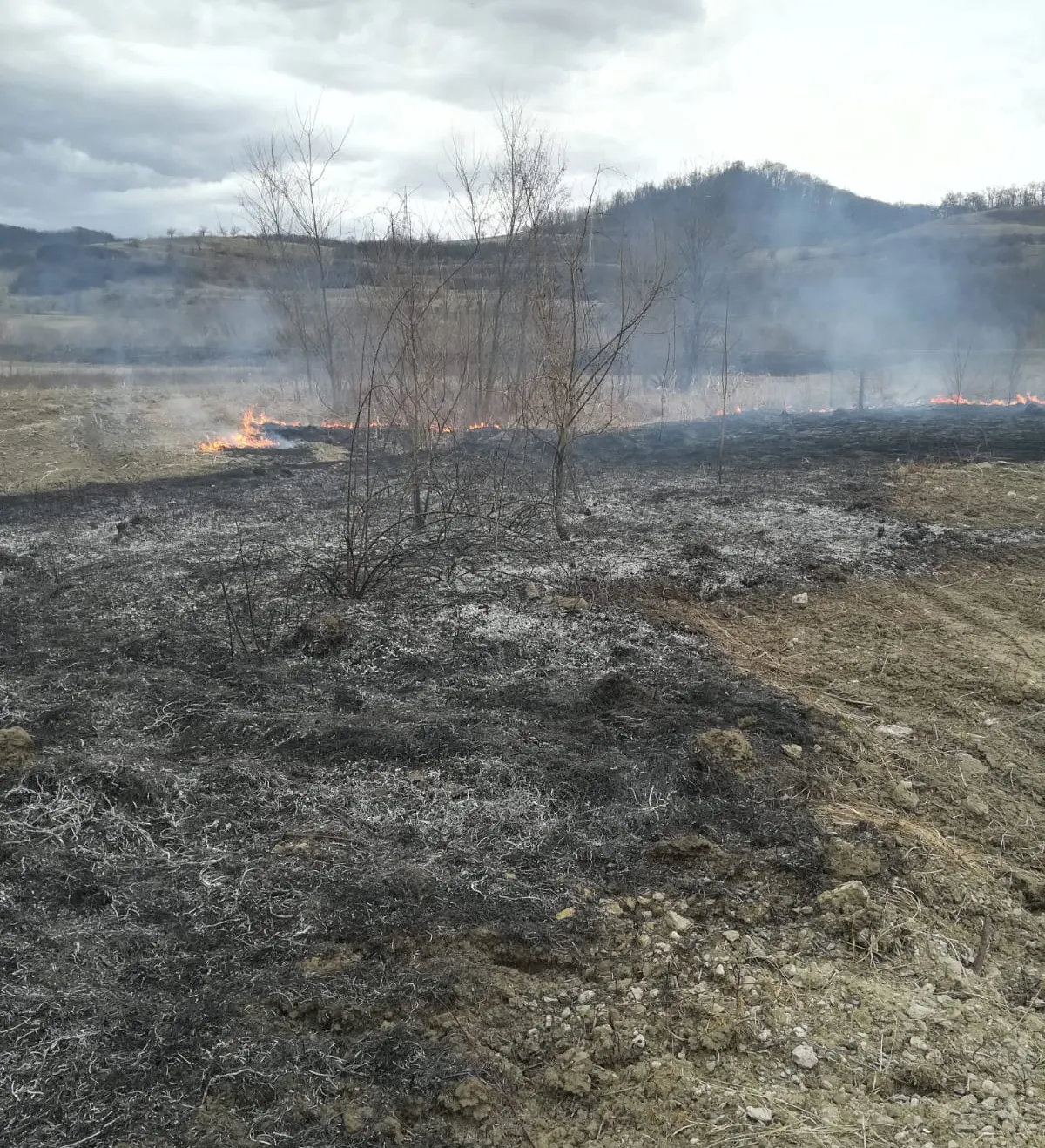 Incendiu Medias 2