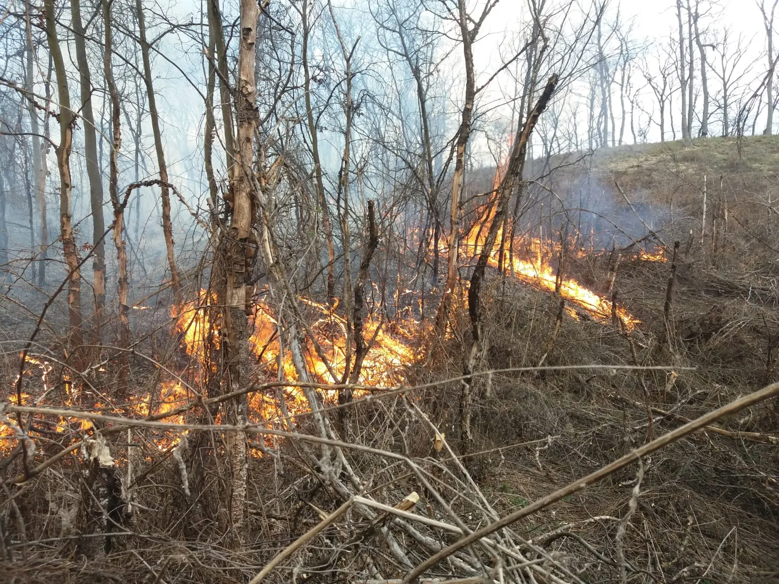 Incendiu Malancrav