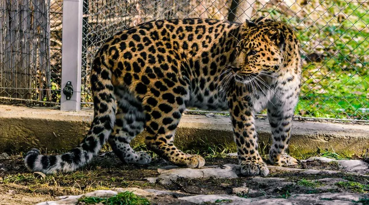 Zoo Sibiu 2