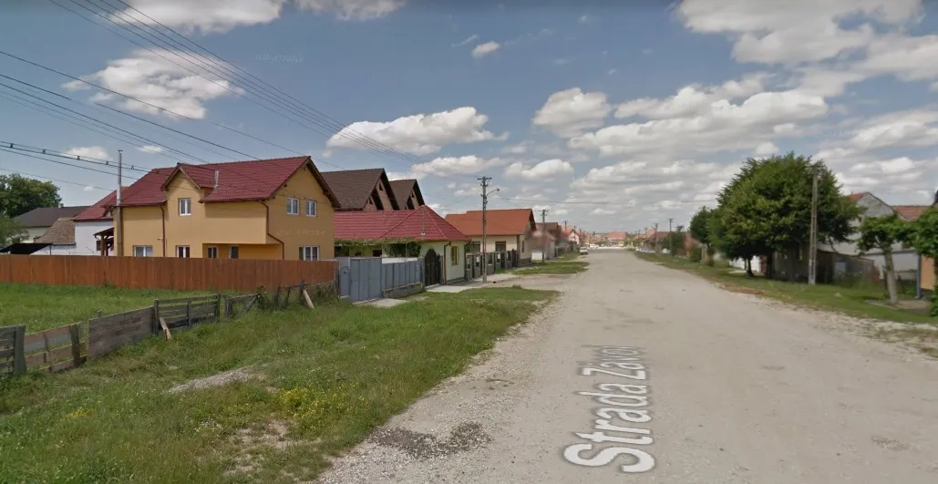 zavoi