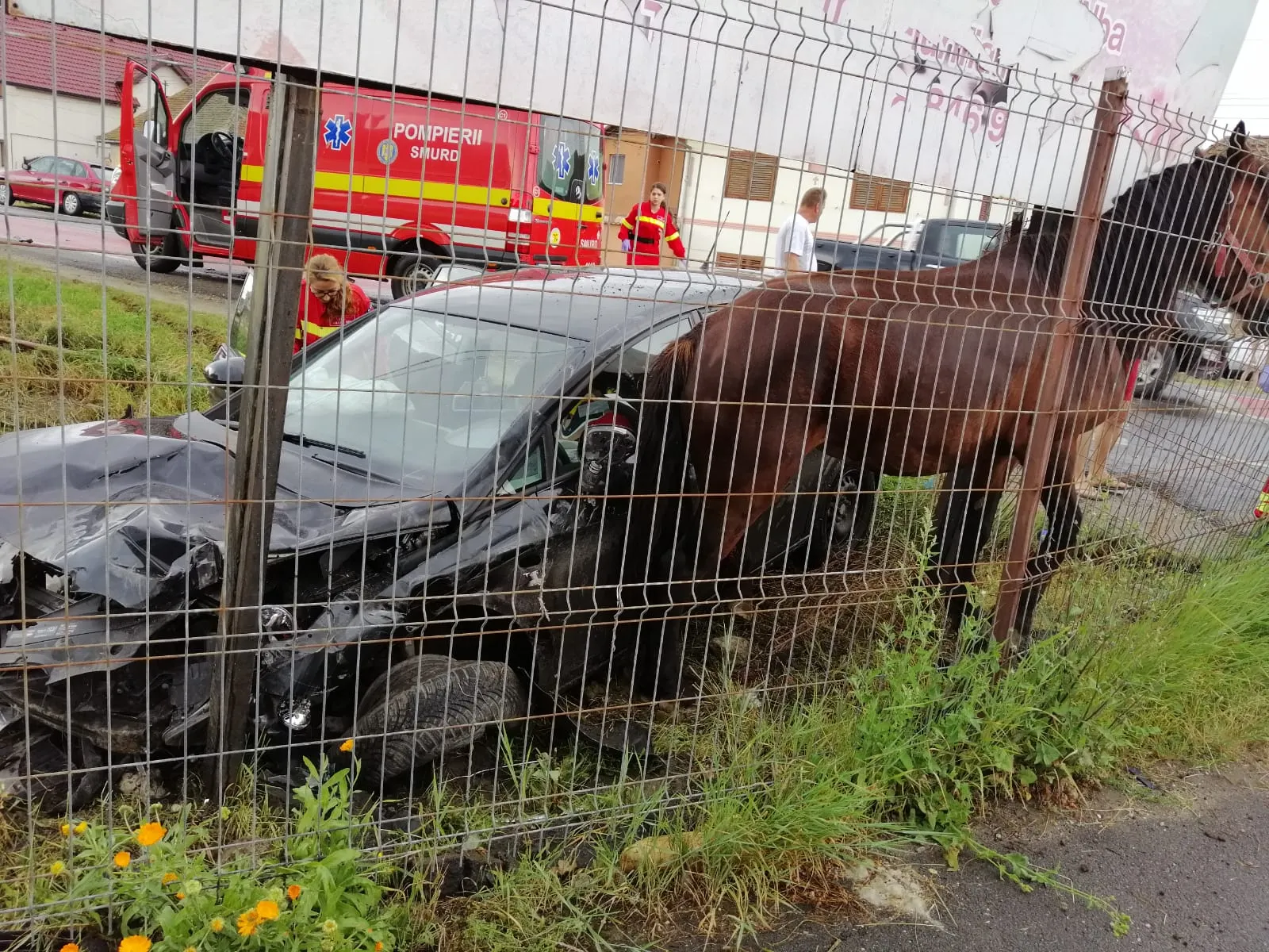 ACCIDENT