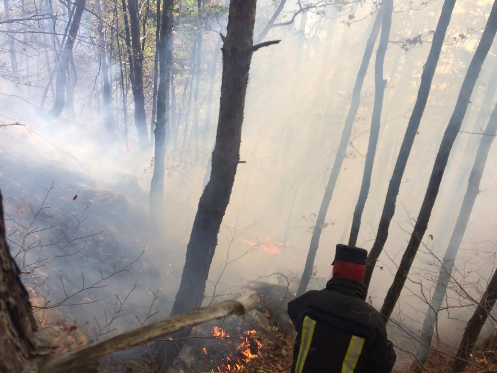 Incendiu magura 1