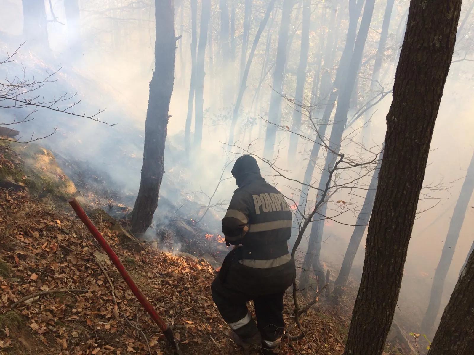 incendiu Magura 2